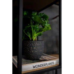 Steege Plantenpot Rinca - Zwart - Lava Look - 21 X 19 Cm -Groene Hoek 9a3d392ff6b04b058e5bd82d1d399e06