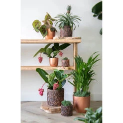 Mega Collections Plantenpot - Keramiek - Antraciet/brons - D18 Cm 9 Mega Collections Plantenpot - Keramiek - Antraciet/brons - D18 Cm -Groene Hoek 9b45d68d1b944f31aab6dce9f5bcc624