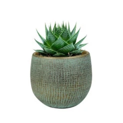 Steege Plantenpot - Moderne Look - Shiny Blauw - 15 X 13 Cm -Groene Hoek 9b9898a1ad2d437faa04fd4803fbac6c