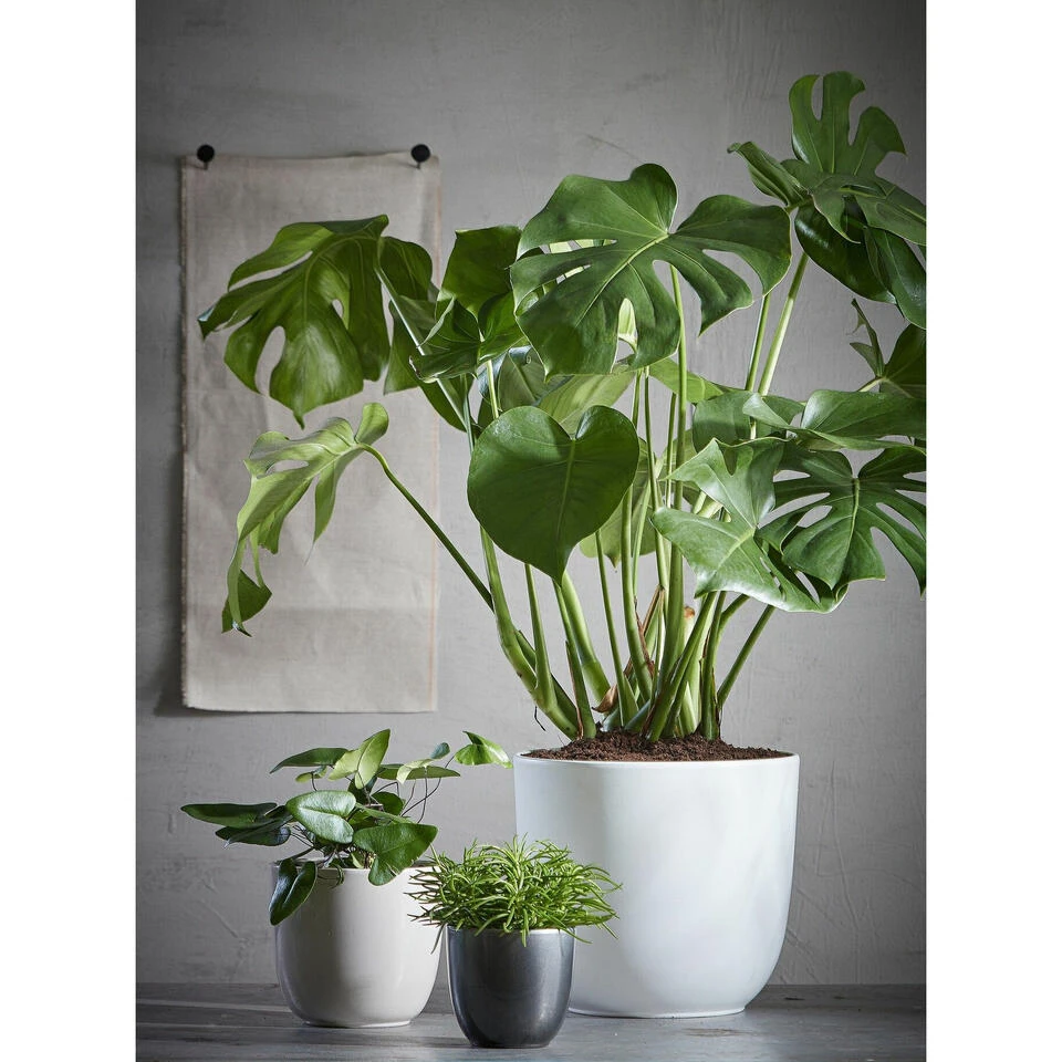 Mica Decorations Bloempot - Wit - Glanzend - Keramiek - 28 X 25 Cm 4 Mica Decorations Bloempot - Wit - Glanzend - Keramiek - 28 X 25 Cm - Afbeelding 2