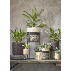 Mica Decorations Plantenstandaard - Verhoger - Zwart - H16 X B14 Cm -Groene Hoek 9c89515e9f9d4423888c36f6f4385e5c