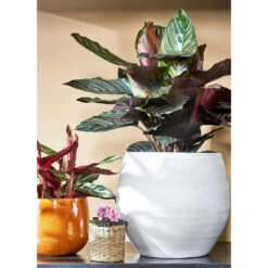 Mica Decorations Plantenpot - Keramiek - Geel Glans - D14/H12 Cm -Groene Hoek 9ebdffd77da74a0fb580ce3aa4dfd0cd