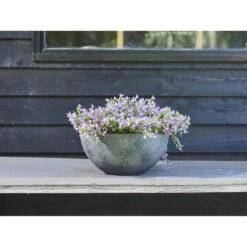 Ter Steege Bloempot - Schaal - Gerecycled Kunststof - Grijs - 55 X 23 Cm 6 Ter Steege Bloempot - Schaal - Gerecycled Kunststof - Grijs - 55 X 23 Cm -Groene Hoek a977597f9cf441bead6d8655b7236b4a