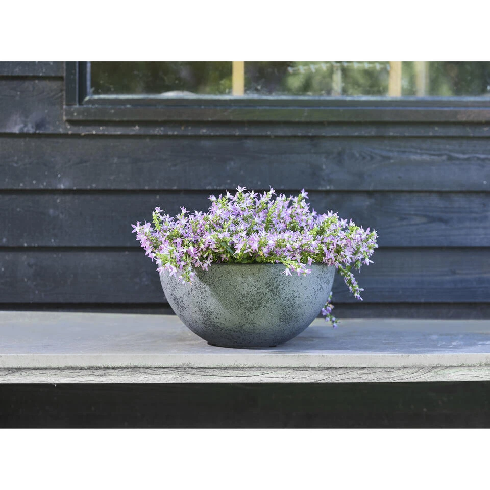 Ter Steege Bloempot - Schaal - Gerecycled Kunststof - Grijs - 55 X 23 Cm 4 Ter Steege Bloempot - Schaal - Gerecycled Kunststof - Grijs - 55 X 23 Cm - Afbeelding 2