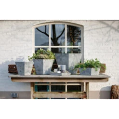 Steege Plantenbak - Grijs - Vierkant - Kunststof - 25 X 25 X 12 Cm -Groene Hoek ad6df68bb2d7439a8828a9ad8833cc15