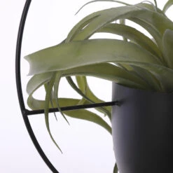 Mica Decorations Dexter Bloempot Hangend H65 Cm Zwart -Groene Hoek af0abea2a63c4bdaaf0f61ce9da55609