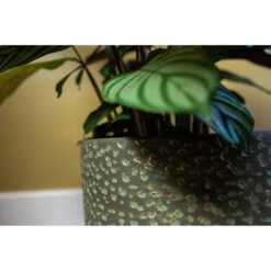 Steege Plantenpot Rinca - Groen - Lava Look - 17 X 15 Cm -Groene Hoek b0577eeddfdc4c0aad1455c01b8837b4