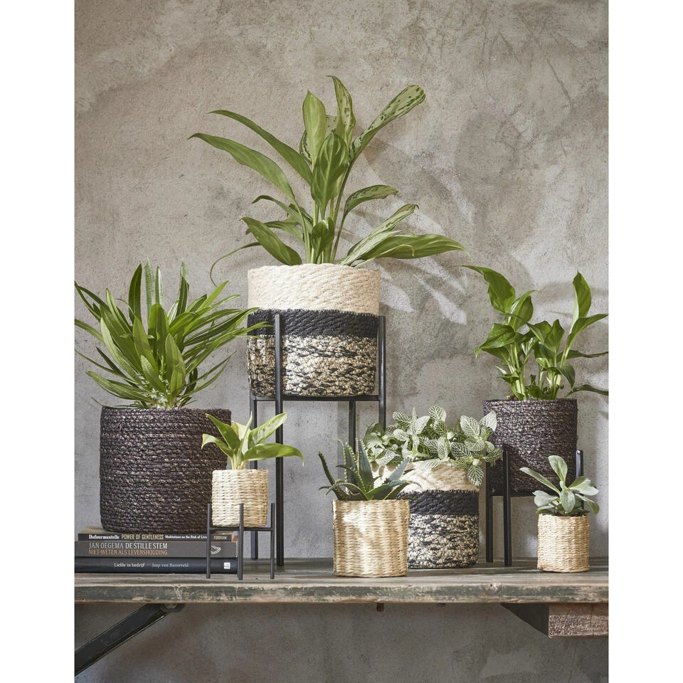 Mica Decorations Bloempot - Rotan - Zwart - Jute - 14 X 14 Cm 4 Mica Decorations Bloempot - Rotan - Zwart - Jute - 14 X 14 Cm - Afbeelding 2