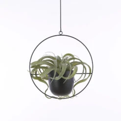 Mica Decorations Dexter Bloempot Hangend H65 Cm Zwart -Groene Hoek b1f73591bbc9487fb139748eae314632
