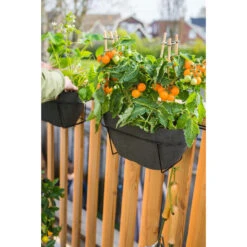 Ter Steege Plantenbak - Balkon - Kunststof - Donkergrijs - 55 X 16 Cm -Groene Hoek b23d5a86cc89492e853e302d5d5e40af