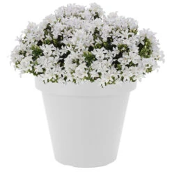 Prosperplast Bloempot - Wit - Kunststof - 25 Cm -Groene Hoek b348e518bbfe47499c85dfd0ee6e9de5