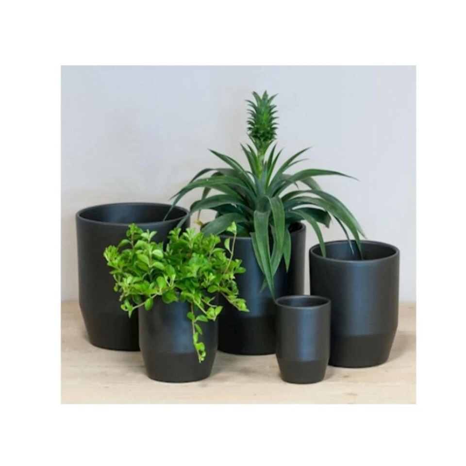 Bela Arte Plantenpot - Keramiek - Mat Antraciet - D21 X H20 Cm 4 Bela Arte Plantenpot - Keramiek - Mat Antraciet - D21 X H20 Cm - Afbeelding 2