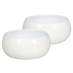 Floran Plantenpot - Schaal - Glanzend - Wit - Keramiek - 22 X 9 Cm 5 Floran Plantenpot - Schaal - Glanzend - Wit - Keramiek - 22 X 9 Cm -Groene Hoek bce87bec45f749cba13ed152cf8bed9d