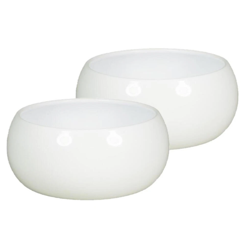 Floran Plantenpot - Schaal - Glanzend - Wit - Keramiek - 22 X 9 Cm 4 Floran Plantenpot - Schaal - Glanzend - Wit - Keramiek - 22 X 9 Cm - Afbeelding 2