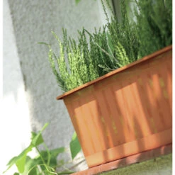 Prosperplast Plantenbak Agro - Terracotta - Rechthoekig - 40 Cm -Groene Hoek be013da988054d5cae194b349355eec4