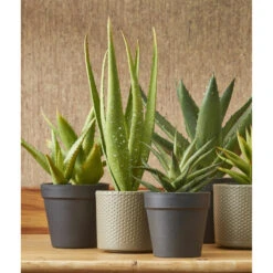 Mica Decorations Plantenpot - Taupe - Keramiek - 13 X 12 Cm -Groene Hoek be92bb966e3148e385b044c7f134e226