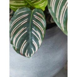 Mica Decorations Bloempot - Grijs - Keramiek - 29 X 25 Cm -Groene Hoek bef54cd55ecc430c9acf22b474a69b51