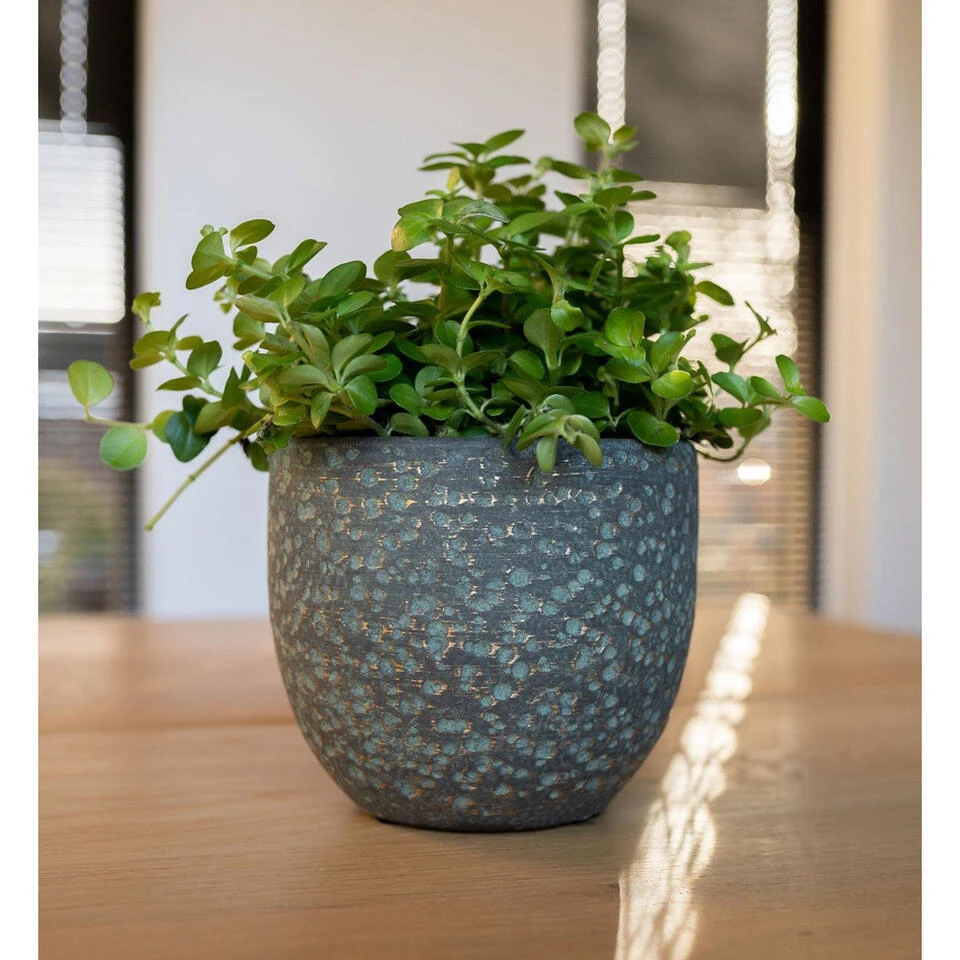 Steege Plantenpot Rinca - Groen - Lava Look - 25 X 23 Cm 4 Steege Plantenpot Rinca - Groen - Lava Look - 25 X 23 Cm - Afbeelding 2