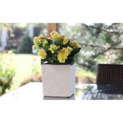 Prosperplast Plantenbak Rato - Wit - Rotan - Kunststof - 26 Cm 9 Prosperplast Plantenbak Rato - Wit - Rotan - Kunststof - 26 Cm -Groene Hoek cc65bddf97a4435c9fca58cf896b02be 1