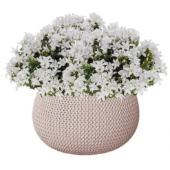 Prosperplast Plantenpot/bloempot - Kunststof - Taupe - D30 X H22 Cm -Groene Hoek d694d1469b054d15ae6a67be5c572bd1