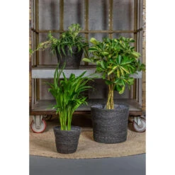 Steege Plantenpot - Grijs - Gevlochten Zeegras - 26 X 23 Cm -Groene Hoek d9cc8bbc17d9483ea478145684fc3091