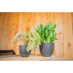 Ter Steege Bloempot - Grijs - Natuursteen Look - D17 X H15 Cm -Groene Hoek dc7cf7b9069b4f4a9352d0b53ea259ae