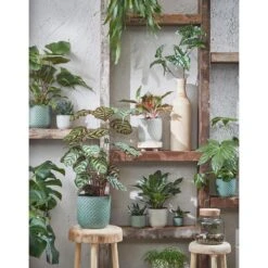 Mica Decorations Daan Bloempot - H20,5 X Ø21,5 Cm - Groen -Groene Hoek de6390ef72b54a3ab003d2a29d025f56