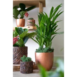 Mega Collections Plantenpot - Keramiek - Antraciet/brons - D18 Cm 8 Mega Collections Plantenpot - Keramiek - Antraciet/brons - D18 Cm -Groene Hoek e372ec4290dc4729b2f112e3675b929b