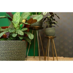 Steege Plantenpot Rinca - Groen - Lava Look - 25 X 23 Cm 8 Steege Plantenpot Rinca - Groen - Lava Look - 25 X 23 Cm -Groene Hoek e62c2467783a4a5aa774eb58f8c076cc