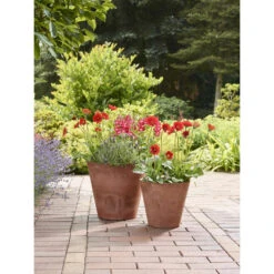 Ter Steege Bloempot - Light Terra Cotta - Natuursteen Look - D22 X H20 Cm -Groene Hoek e8d8adc3c7194404a1ac8a853b6a866b