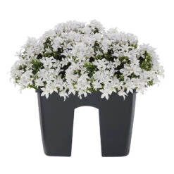 Nieuwe uitgaven -Groene Hoek ed5d93d10097496a88089ae90063c150