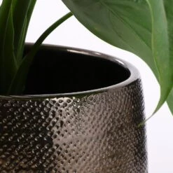 Mica Decorations Gabriel Bloempot - H20 X Ø25 Cm - Brons -Groene Hoek f59ef7f13ad546629ec68ce92490550e