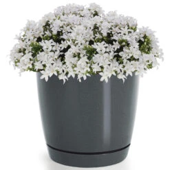 Prosperplast Plantenpot/bloempot - Kunststof - Antraciet - D24 X H22 Cm -Groene Hoek fabf57924a514314a02c51d3d5a39e72