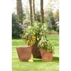 Steege Plantenbak - Gerecycled Kunststof - Terra Bruin - 55 X 17 Cm -Groene Hoek fad4111224804a969f909bd1783d5dc2