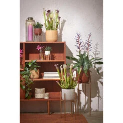 Mica Decorations Plantenpot - Keramiek - Bruin - D19-H18 Cm -Groene Hoek fdbe4d3ce817493cb1e77c1192258666