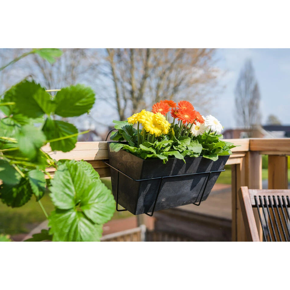 Steege Plantenbak - Gerecycled Kunststof - Zwart - 55 X 17 Cm 4 Steege Plantenbak - Gerecycled Kunststof - Zwart - 55 X 17 Cm - Afbeelding 2
