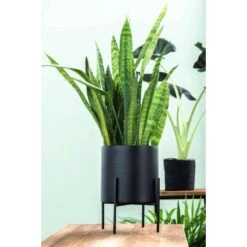 Bloempot Op Pootjes Niek - Zwart - 12/18xØ12,5 Cm 7 Bloempot Op Pootjes Niek - Zwart - 12/18xØ12,5 Cm -Groene Hoek sf 71124031 1010